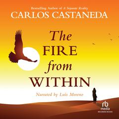 The Fire from Within by Carlos Castaneda audiobook