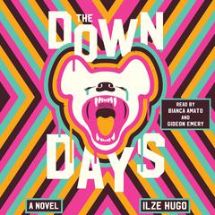 The Down Days by Ilze Hugo audiobook