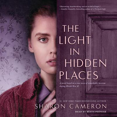 The Light in Hidden Places by Sharon Cameron audiobook