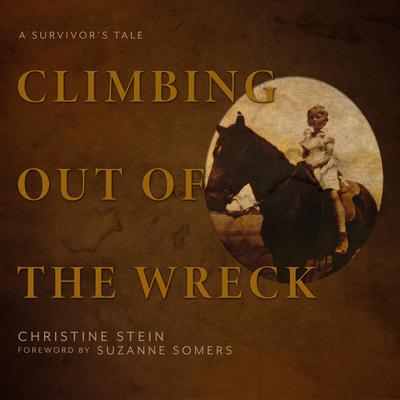 Climbing Out of the Wreck by Christine Stein audiobook