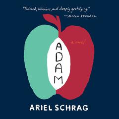 Adam by Ariel Schrag audiobook