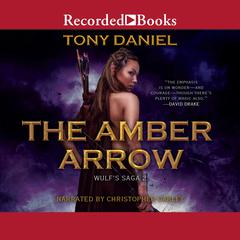 The Amber Arrow by Tony Daniel audiobook