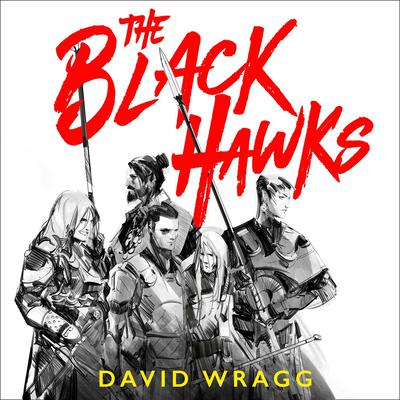 The Black Hawks by David Wragg audiobook