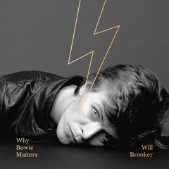 Why Bowie Matters by Will Brooker audiobook