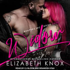 Widow by Elizabeth Knox audiobook