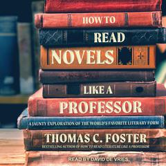 How to Read Novels Like a Professor by Thomas C. Foster audiobook