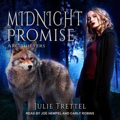 Midnight Promise by Julie Trettel audiobook