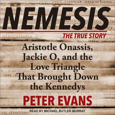 Nemesis by Peter Evans audiobook