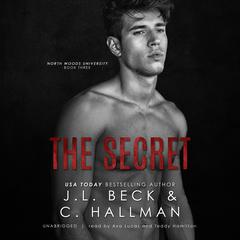 The Secret by J. L. Beck audiobook