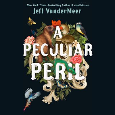 A Peculiar Peril by Jeff VanderMeer audiobook