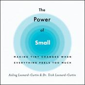 The Power of Small by  Trish Leonard-Curtin audiobook