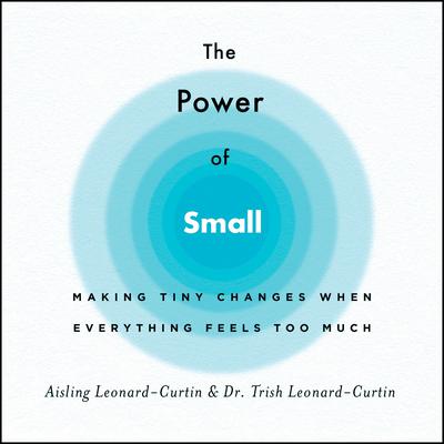 The Power of Small by Trish Leonard-Curtin audiobook
