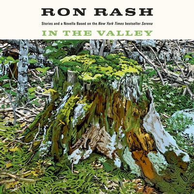 In the Valley by Ron Rash audiobook