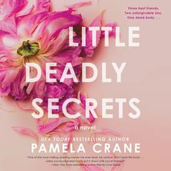 Little Deadly Secrets by Pamela Crane audiobook