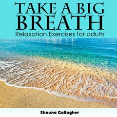 Take A Big Breath For Adults by Shauna Gallagher audiobook
