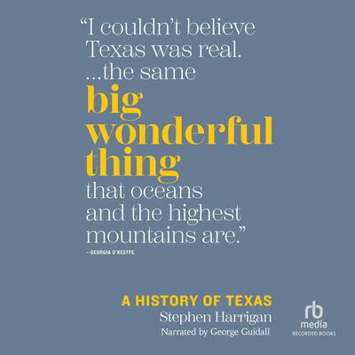 Big Wonderful Thing by Stephen Harrigan audiobook