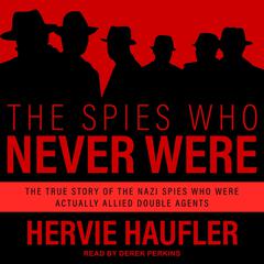 The Spies Who Never Were by Hervie Haufler audiobook