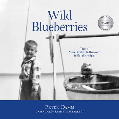 Wild Blueberries by Peter Damm audiobook
