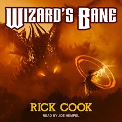 Wizard’s Bane by Rick Cook audiobook