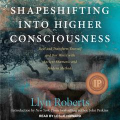 Shapeshifting into Higher Consciousness by Llyn Roberts audiobook