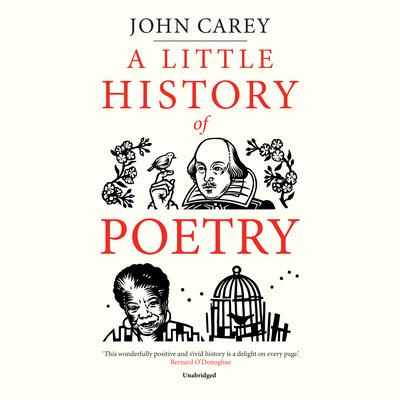 A Little History of Poetry by John Carey audiobook