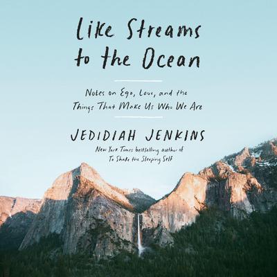 Like Streams to the Ocean by Jedidiah Jenkins audiobook