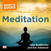 The Complete Idiot's Guide to Meditation by  Eve Adamson audiobook
