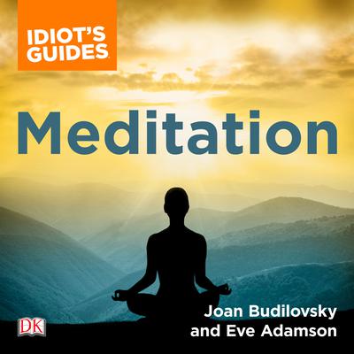The Complete Idiot's Guide to Meditation by Eve Adamson audiobook