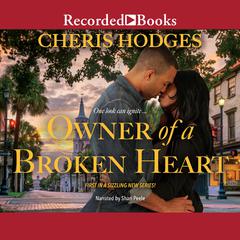 Owner of a Broken Heart by Cheris Hodges audiobook