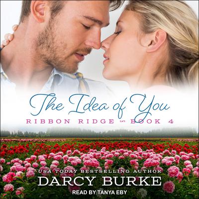 The Idea of You by Darcy Burke audiobook