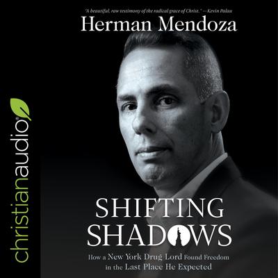 Shifting Shadows by Herman Mendoza audiobook
