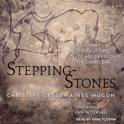 Stepping-Stones by Christine Desdemaines-Hugon audiobook