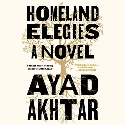 Homeland Elegies by Ayad Akhtar audiobook