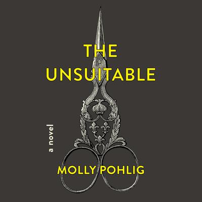 The Unsuitable by Molly Pohlig audiobook