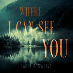 Where I Can See You by Larry D. Sweazy audiobook