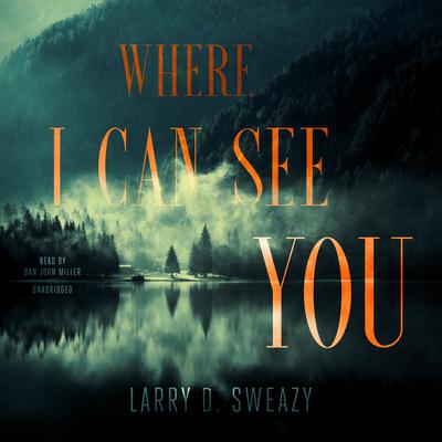 Where I Can See You by Larry D. Sweazy audiobook