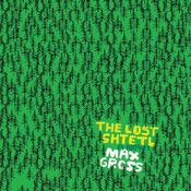 The Lost Shtetl by  Max Gross audiobook