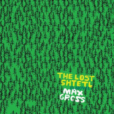 The Lost Shtetl by Max Gross audiobook