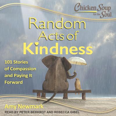Chicken Soup for the Soul by Amy Newmark audiobook