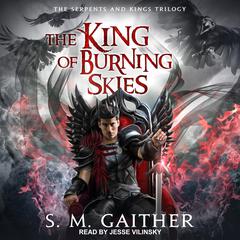 The King of Burning Skies by S.M. Gaither audiobook