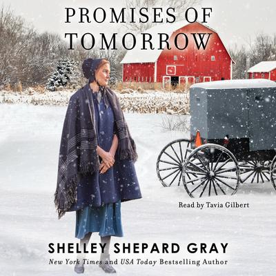 Promises of Tomorrow by Shelley Shepard Gray audiobook