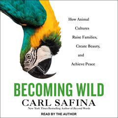 Becoming Wild by Carl Safina audiobook