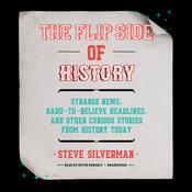 The Flip Side of History by  Steve Silverman audiobook