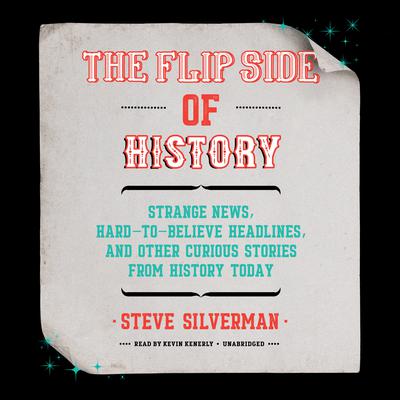 The Flip Side of History by Steve Silverman audiobook
