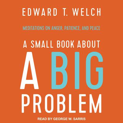 A Small Book about a Big Problem by Edward T. Welch audiobook