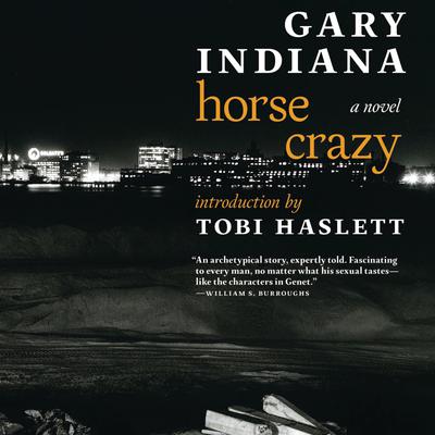 Horse Crazy by Gary Indiana audiobook