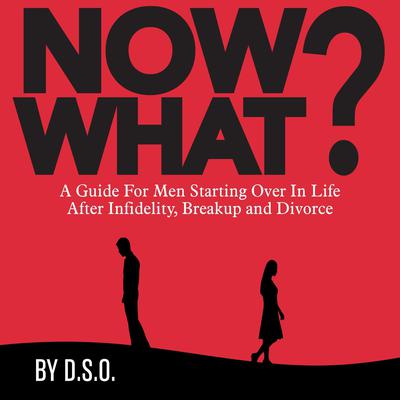 NOW WHAT? A Guide for Men Starting Over in Life After Infidelity, Breakup and Divorce by D.S.O. audiobook