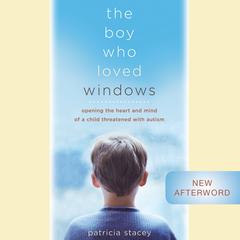 The Boy Who Loved Windows by Patricia Stacey audiobook