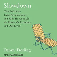 Slowdown by Danny Dorling audiobook