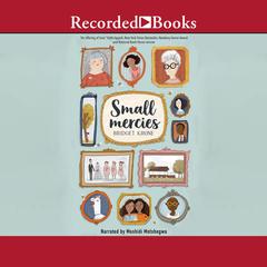 Small Mercies by Bridget Krone audiobook